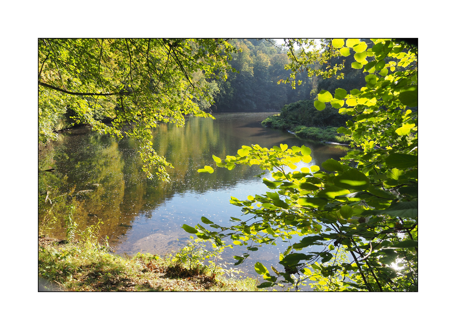 Mulde bei Wechselburg III