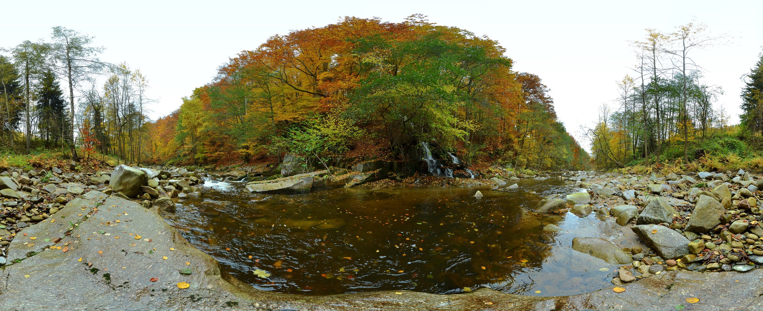 Mulde im Herbst