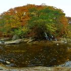 Mulde im Herbst