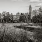 Muldenaue am Stausee Glauchau