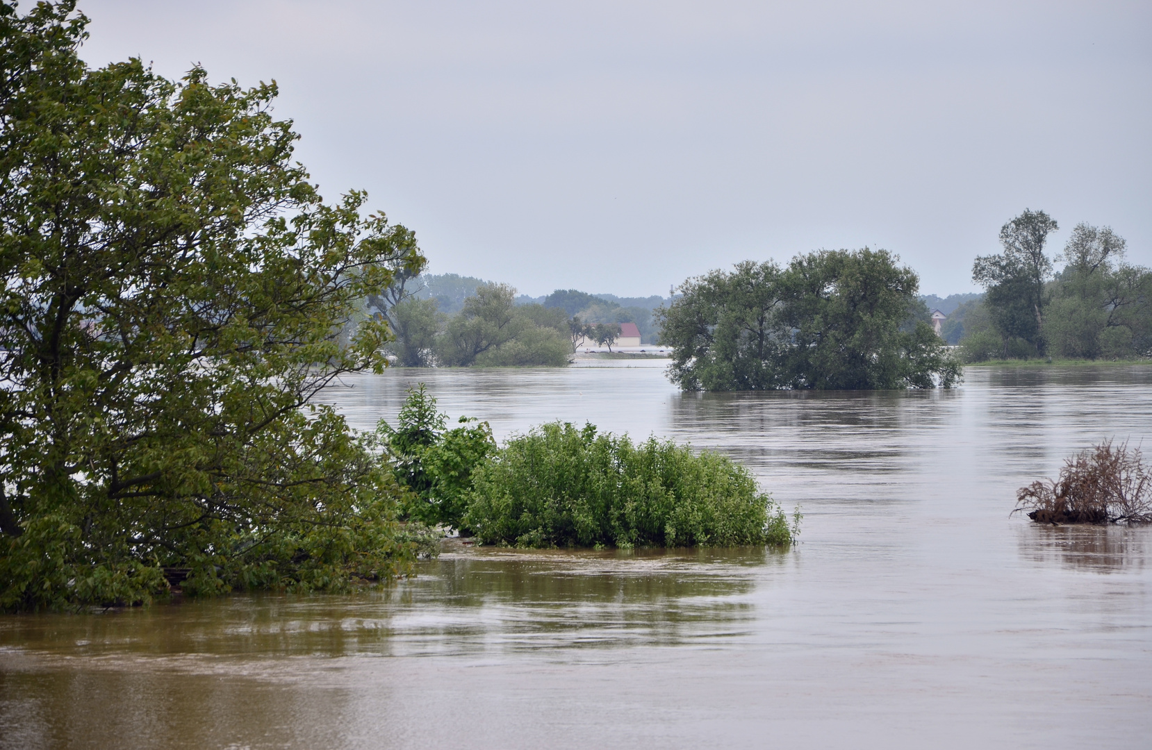 Muldenhochwasser