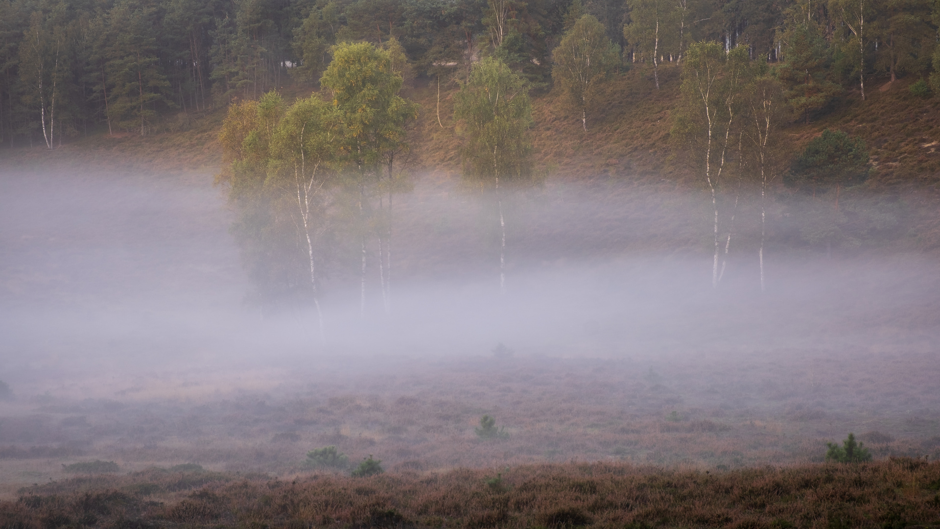 Muldennebel