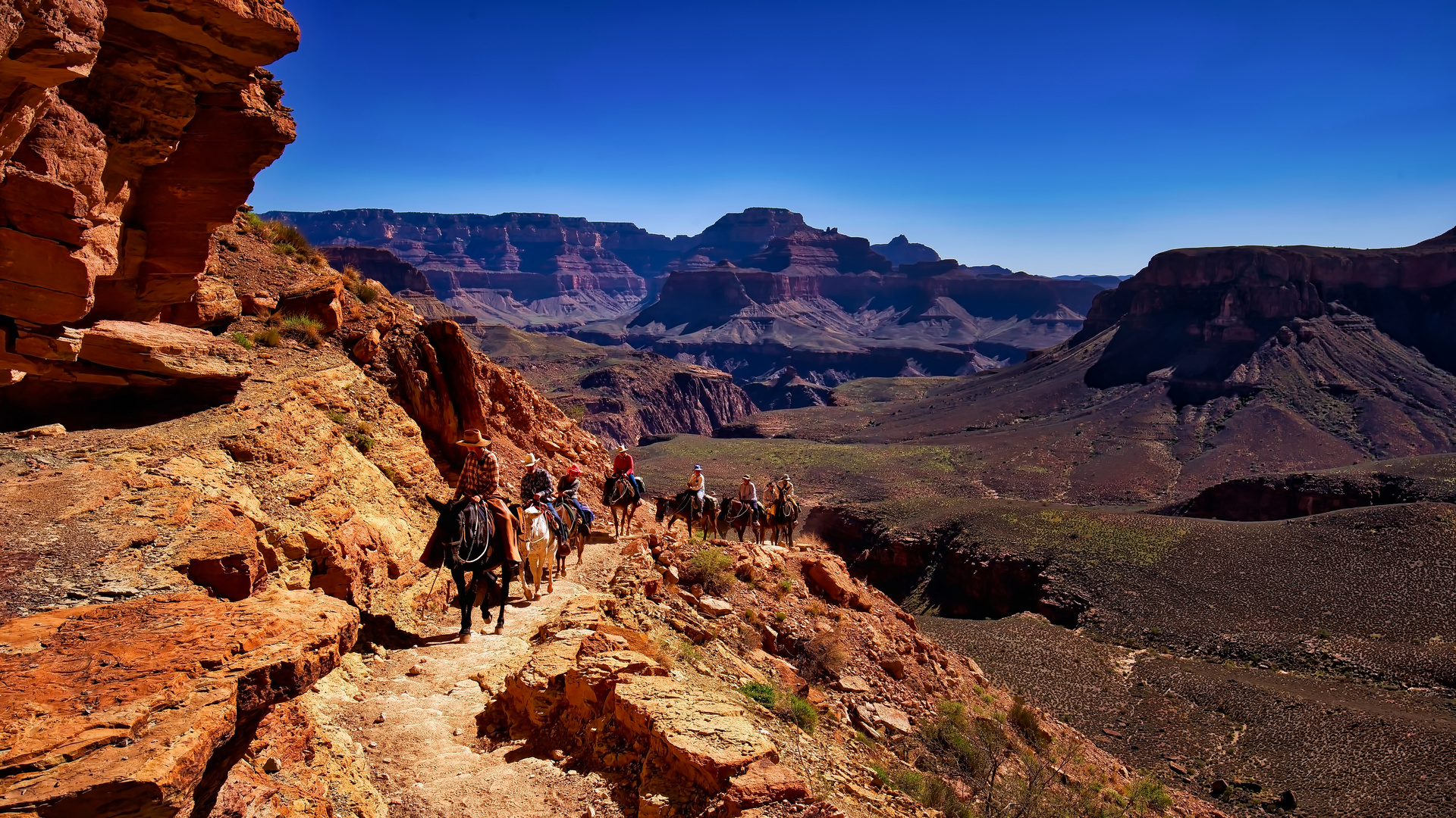 Mule caravan