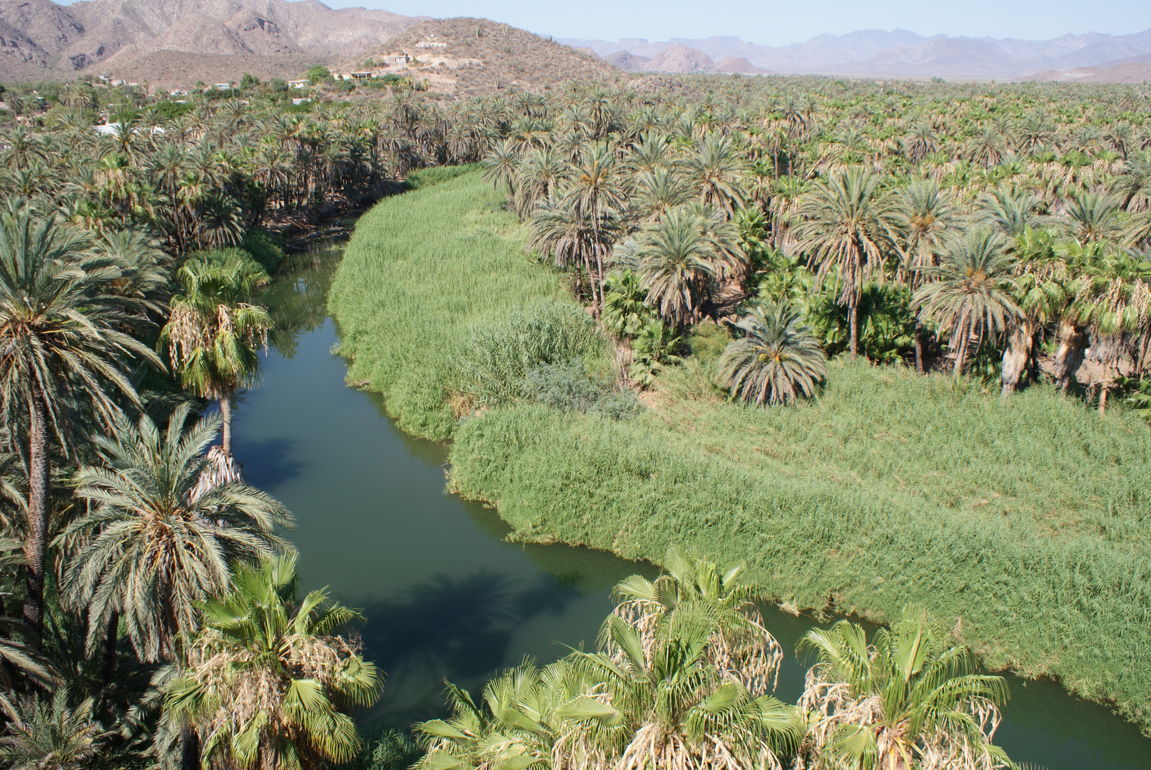 Mulegé, Baja California Sur, México.