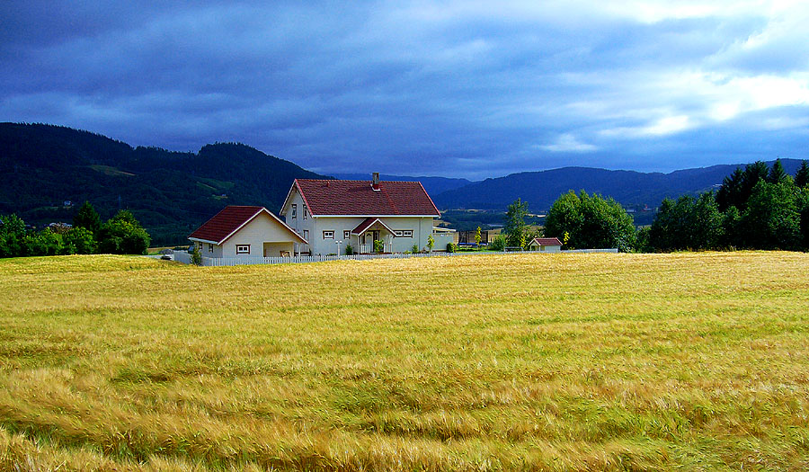 Mulino bianco