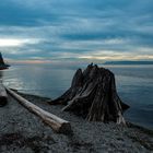 Mulkiteo Beach, WA