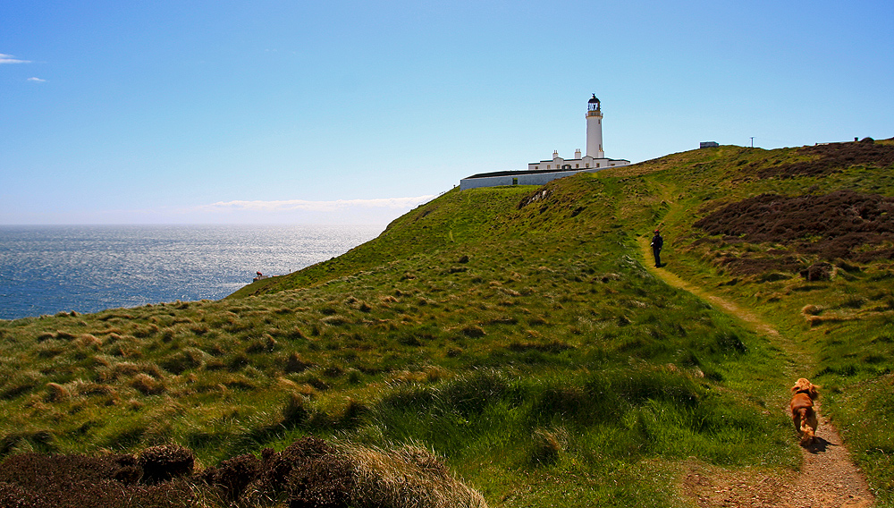 Mull of Galloway...IX...