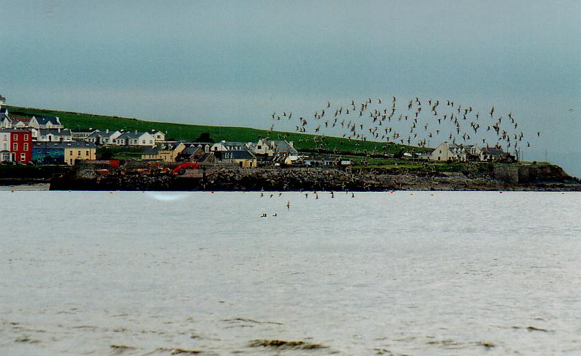 Mullaghmore Head