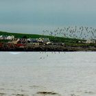 Mullaghmore Head