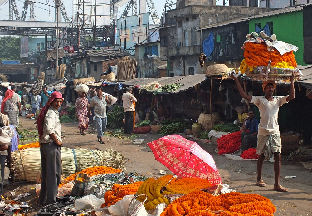 Mullik Ghat Blumenmarkt (2)