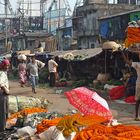 Mullik Ghat Blumenmarkt (2)