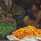 Mullik Ghat Blumenmarkt (3)