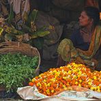 Mullik Ghat Blumenmarkt (3)