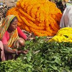 Mullik Ghat Blumenmarkt