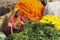 Mullik Ghat Blumenmarkt