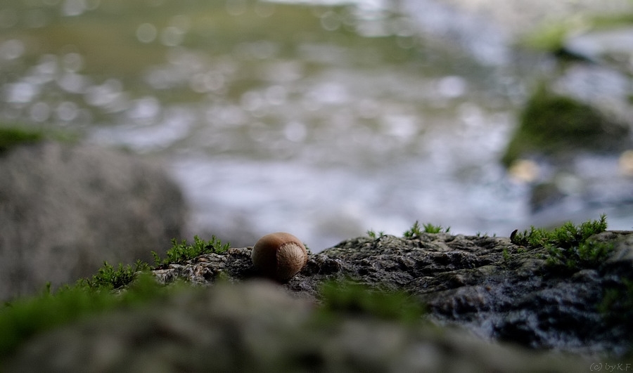  Mulmig Foto & Bild jahreszeiten, herbst, natürlich Bilder auf