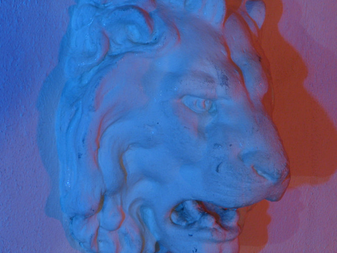 multi color lion