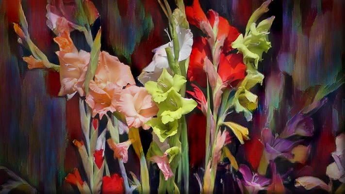 Multicolored gladioli