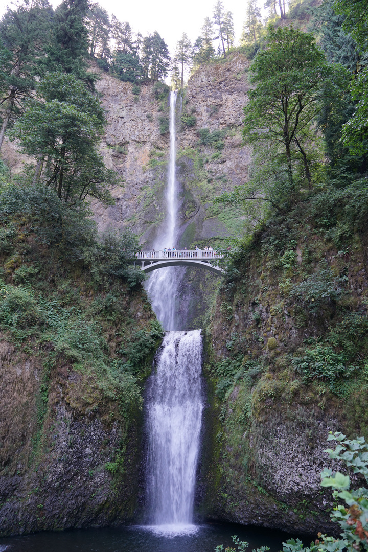 Multinomah Falls