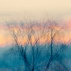 Multiple Exposure - Kgalagadi