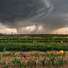 Multizellen Gewitter