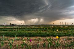 Multizellen Gewitter