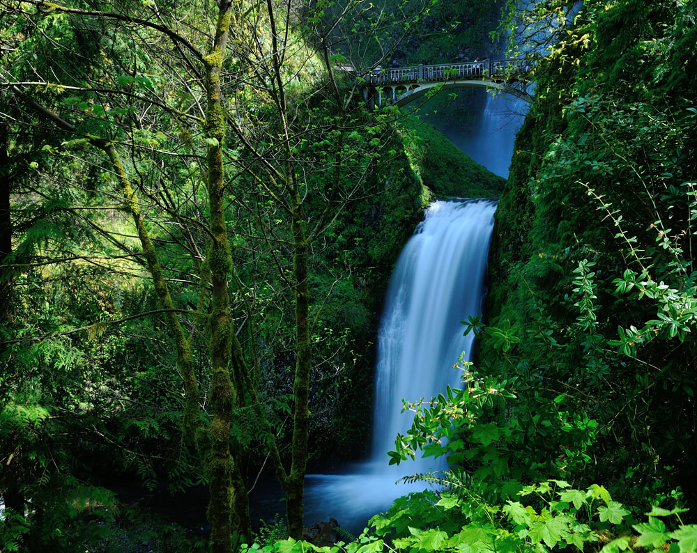 Multnomah Falls