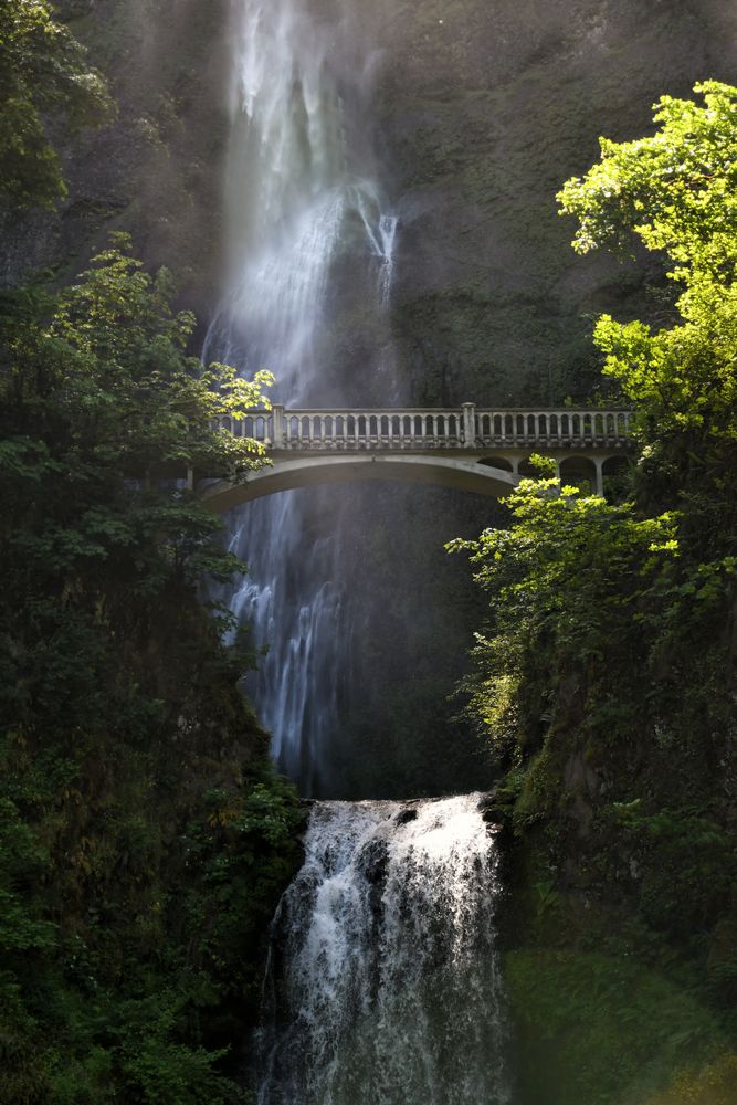 multnomah falls