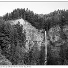 Multnomah Falls 4