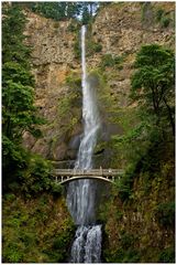 Multnomah Falls II - Columbia River Gorge N.S.A. - Oregon - USA