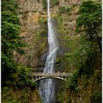 Multnomah Falls II - Columbia River Gorge N.S.A. - Oregon - USA