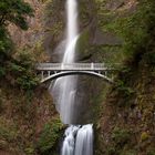 Multnomah Falls nahe Portland, Oregon, USA