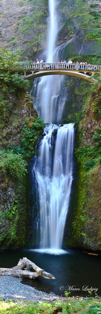 Multnomah Falls Oregon