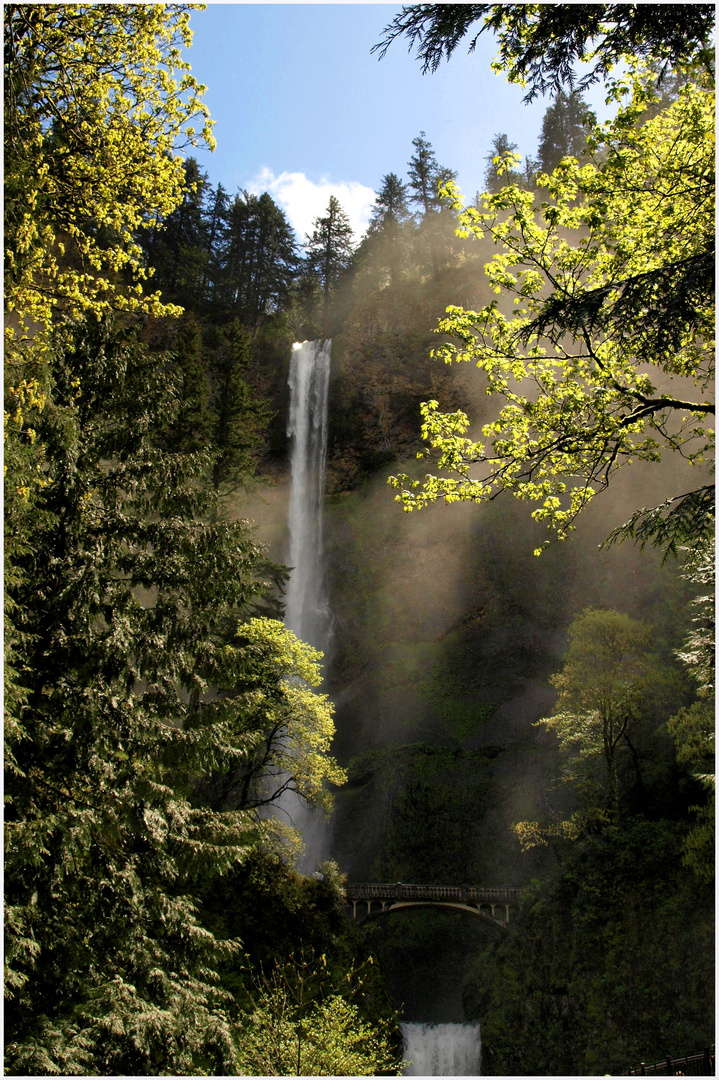 Multnomah Falls - Oregon - USA