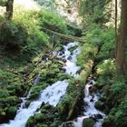 Multnummah Falls