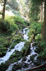 Multnummah Falls