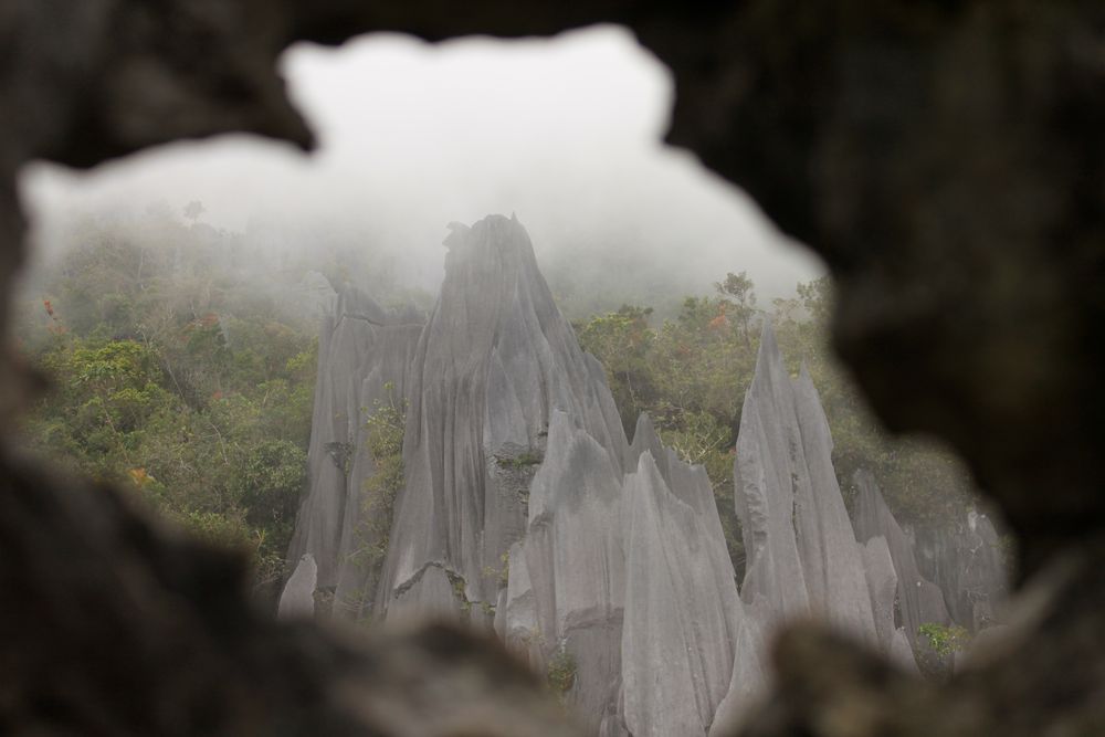 mulu-national-park