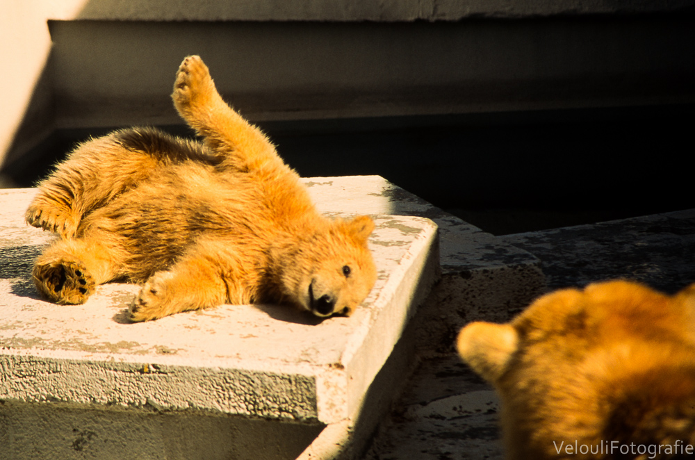 Mum, I'm learning to fly!