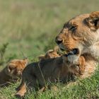 Mum und ihre Rasselbande