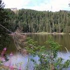 Mummelsee