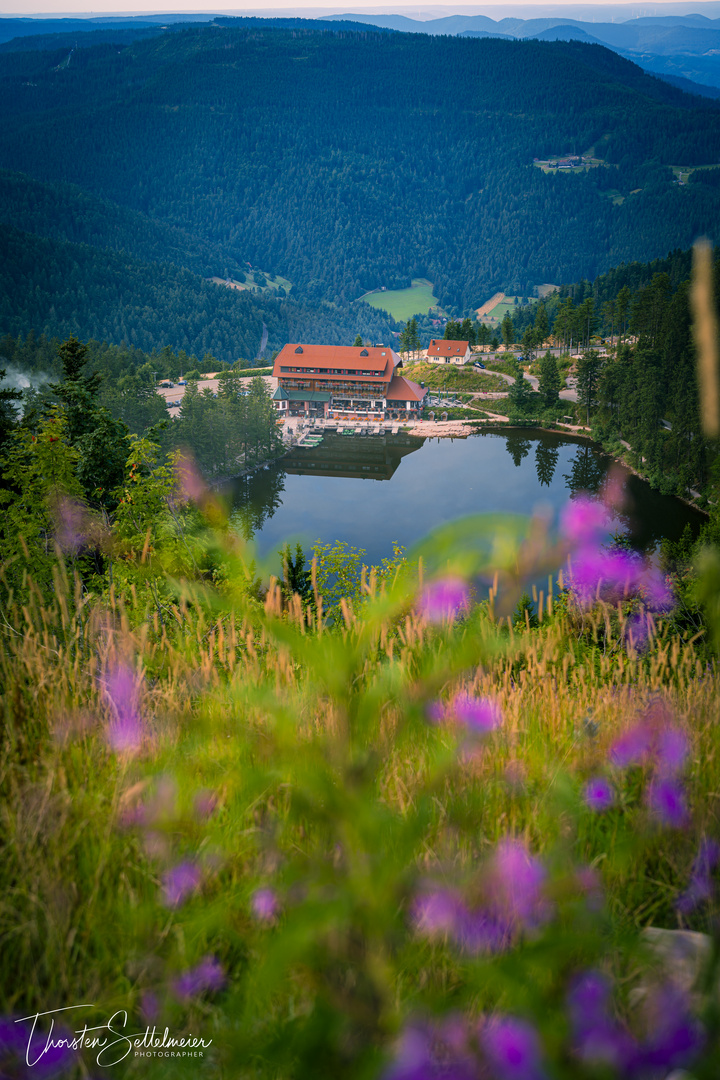 Mummelsee