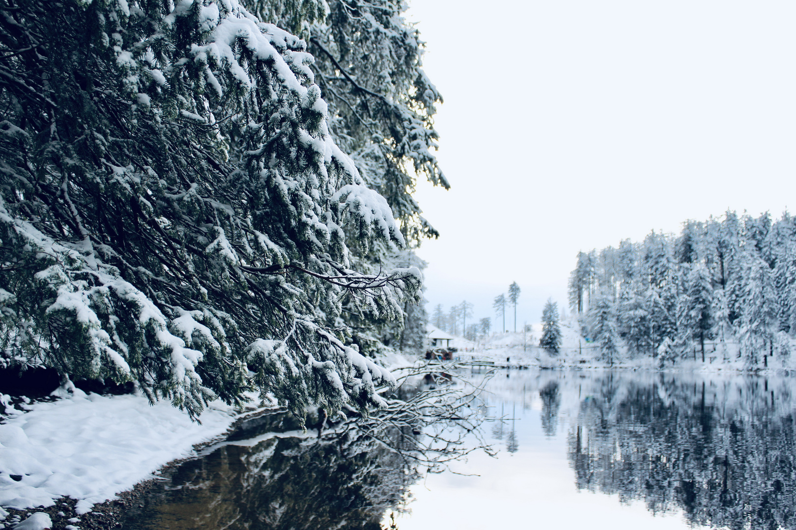 Mummelsee