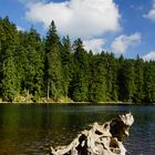 Mummelsee I