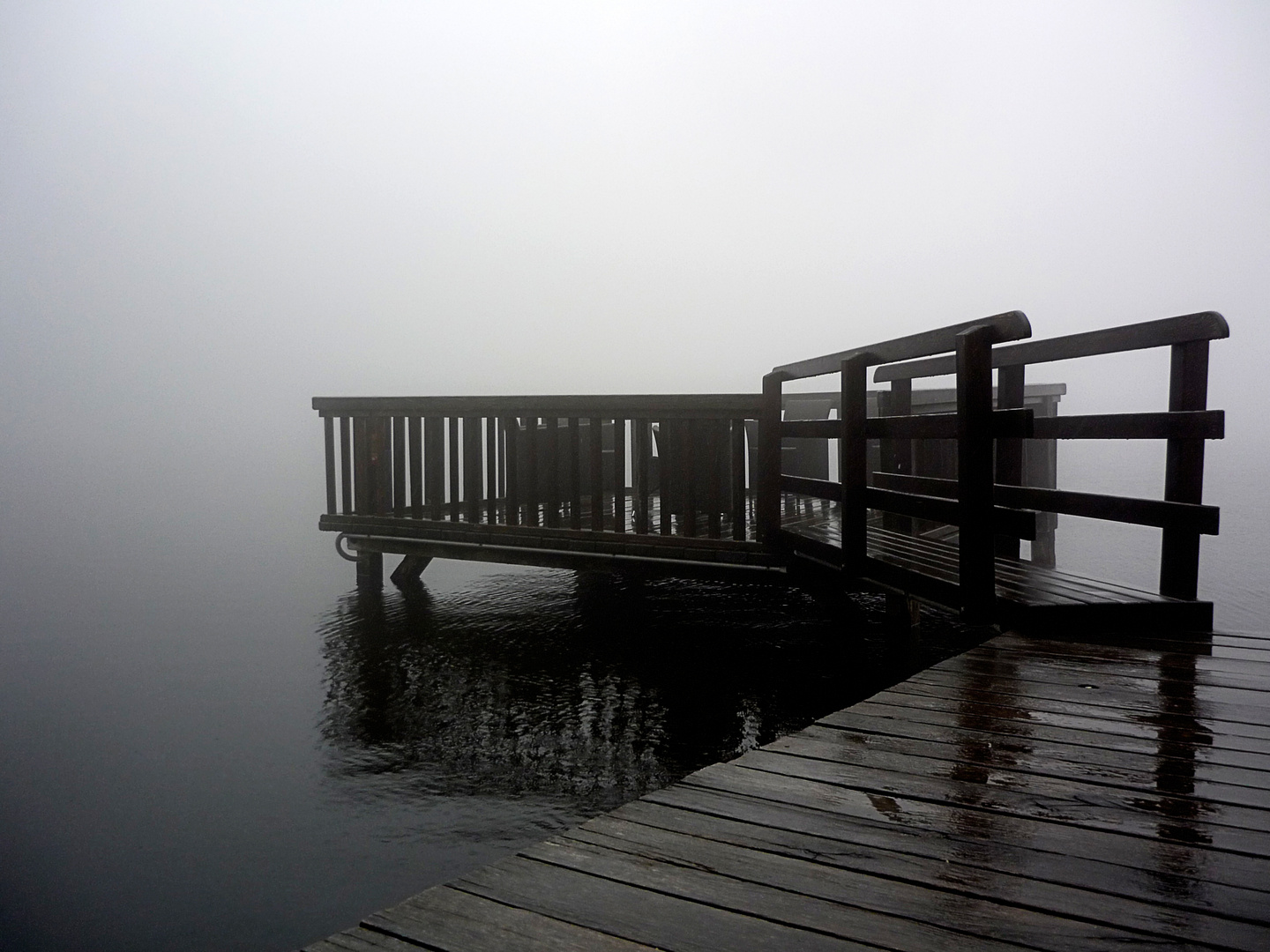 Mummelsee im Nebel