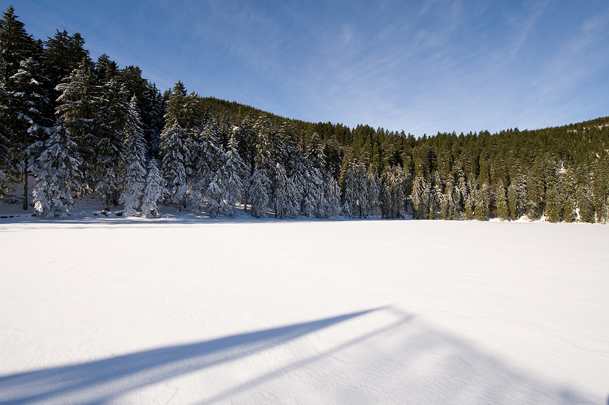 Mummelsee zugefroren