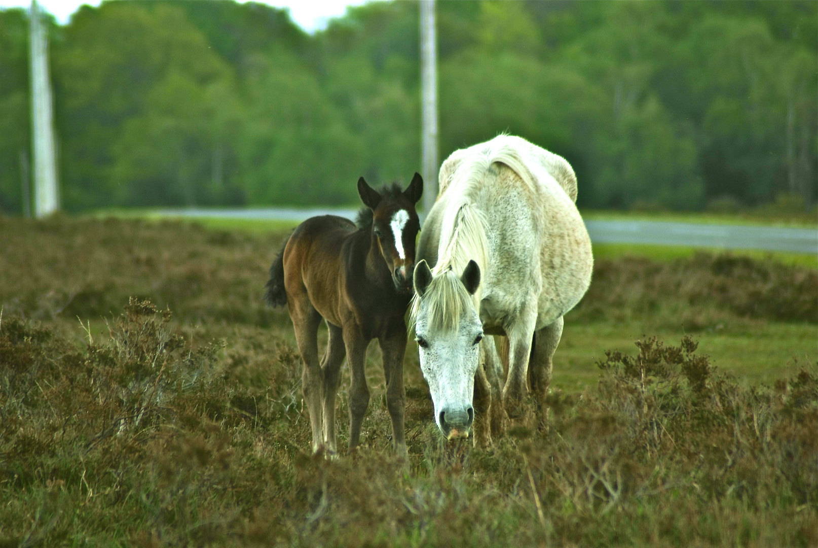 mummy and baby