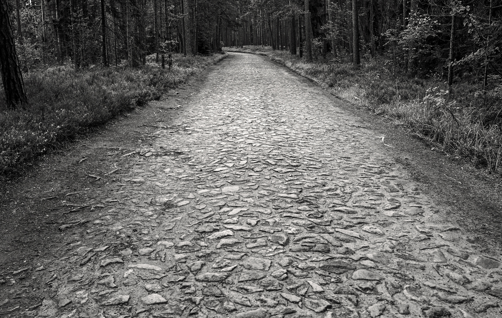 Munakivitee in Estonia