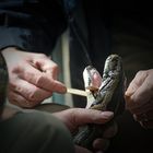 Mund auf - Stäbchen rein: Tierarzt sein   :-)