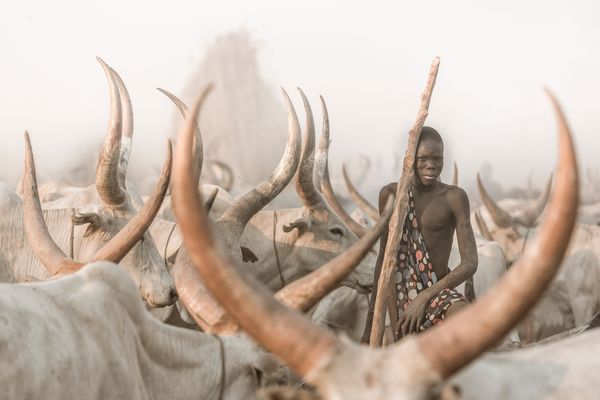 Mundari Hirte