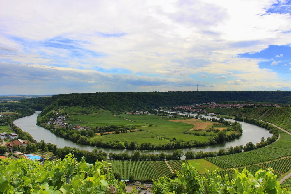 Mundelsheim, Neckarschleife